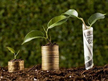 Sustainable Investing and Ethical Wealth Building